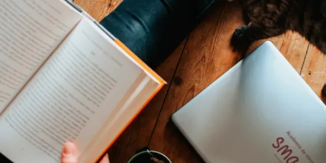 Reading