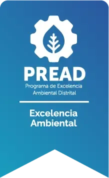Cinta Excelencia